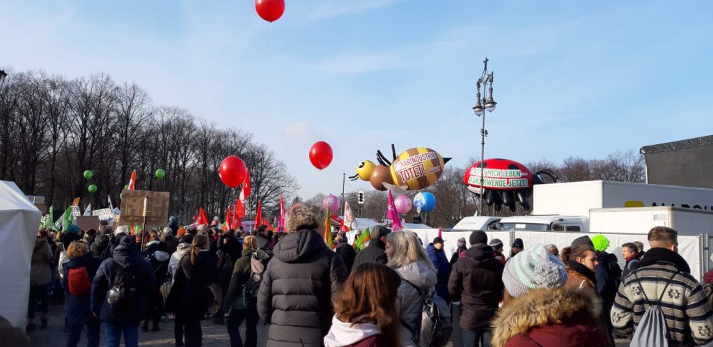 Mut auf der Wir-haben-es-satt-Demo am 19.1.2019 in Berlin