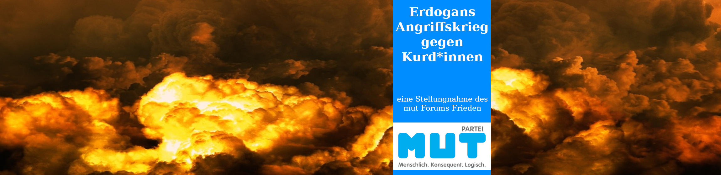 Erdogans Angriffskrieg gegen Kurd*innen