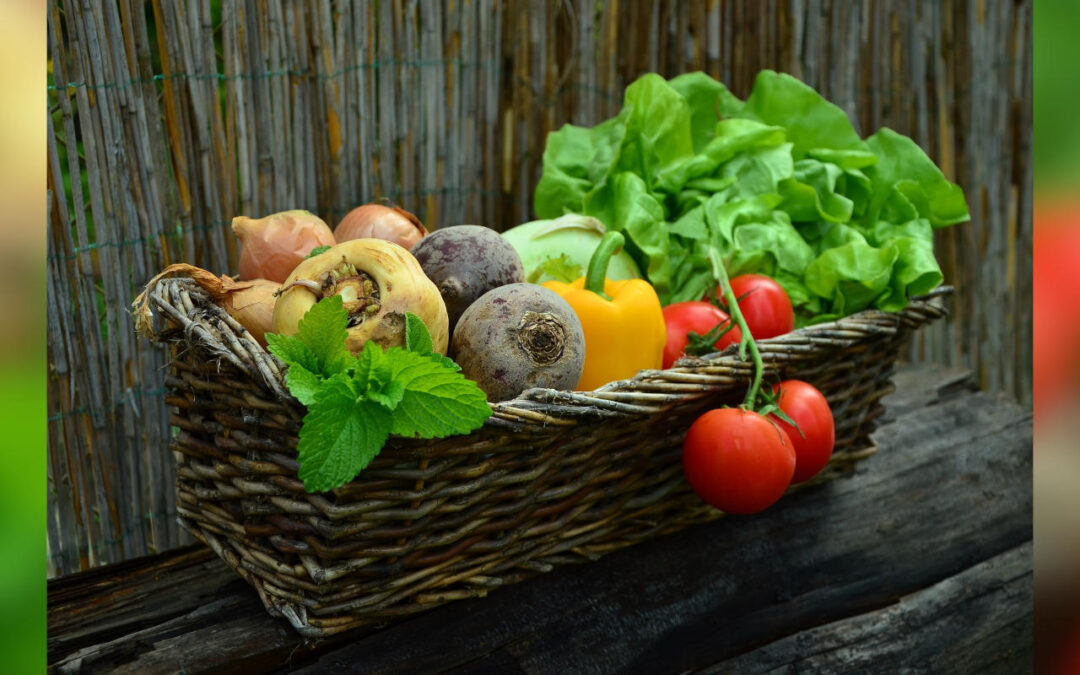 Ein kritischer Blick auf Ernährungsstrategien, Tierwohl-Siegel und die Realität